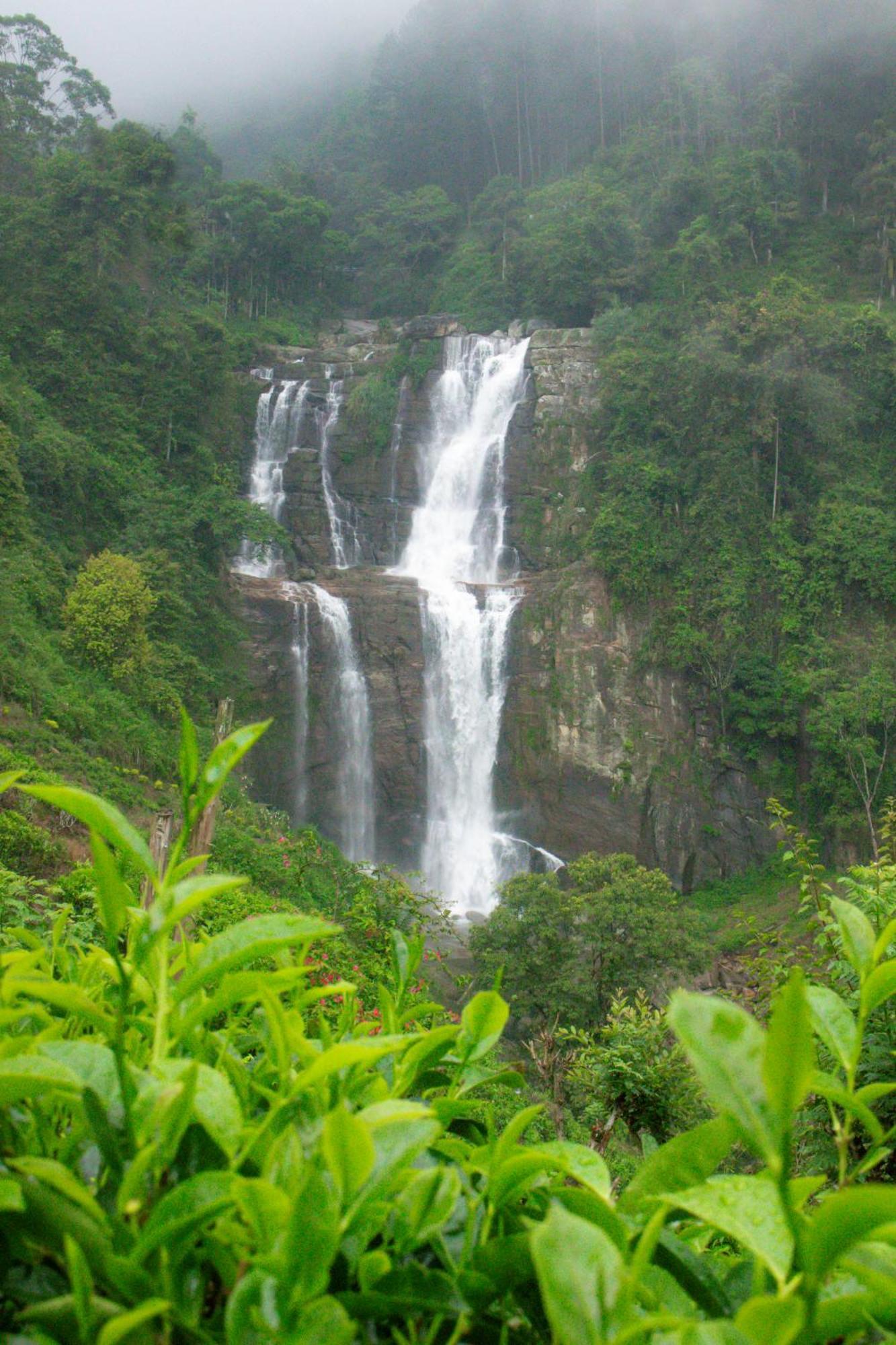 Ramboda Falls Plc Exterior foto